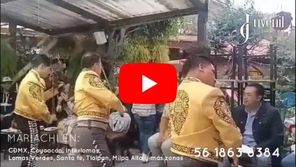 Mejores mariachis COYOACÁN CDMX Mejores precios Mariachis en Coyoacán CDMX